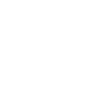 Berdan Technical Services